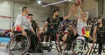 Handibasket